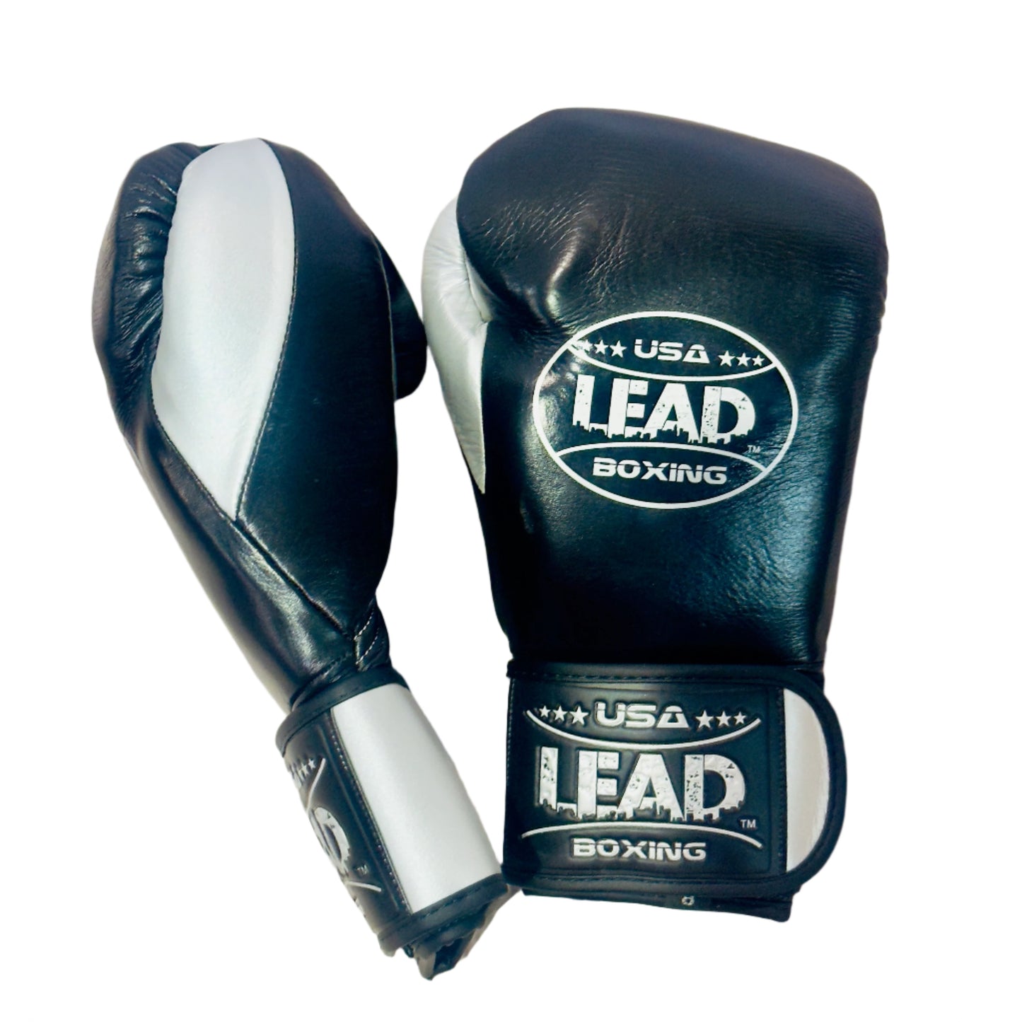 LEAD Boxing Fight Training Gloves (Black-Silver), Velcro