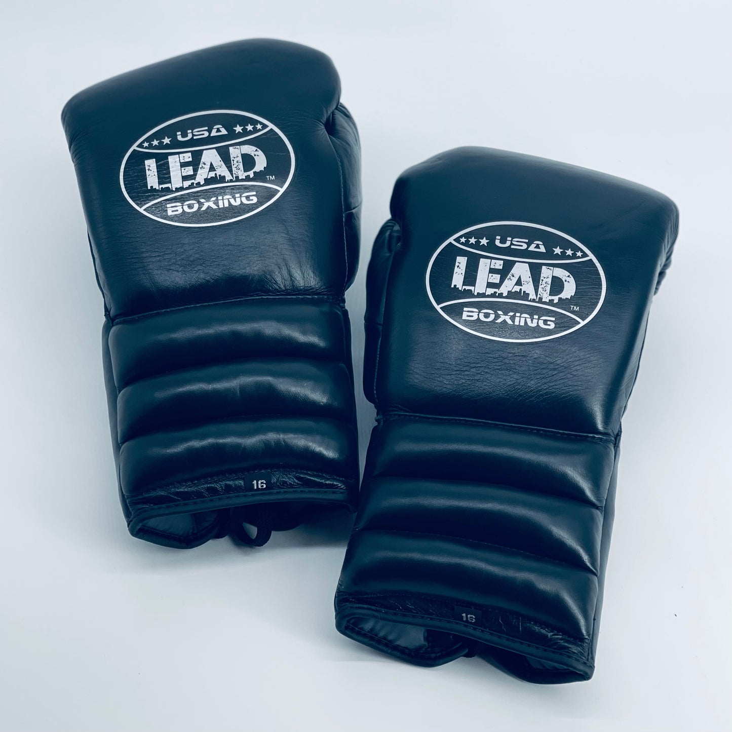 LEAD Sparring Gloves (Black / Silver logo )