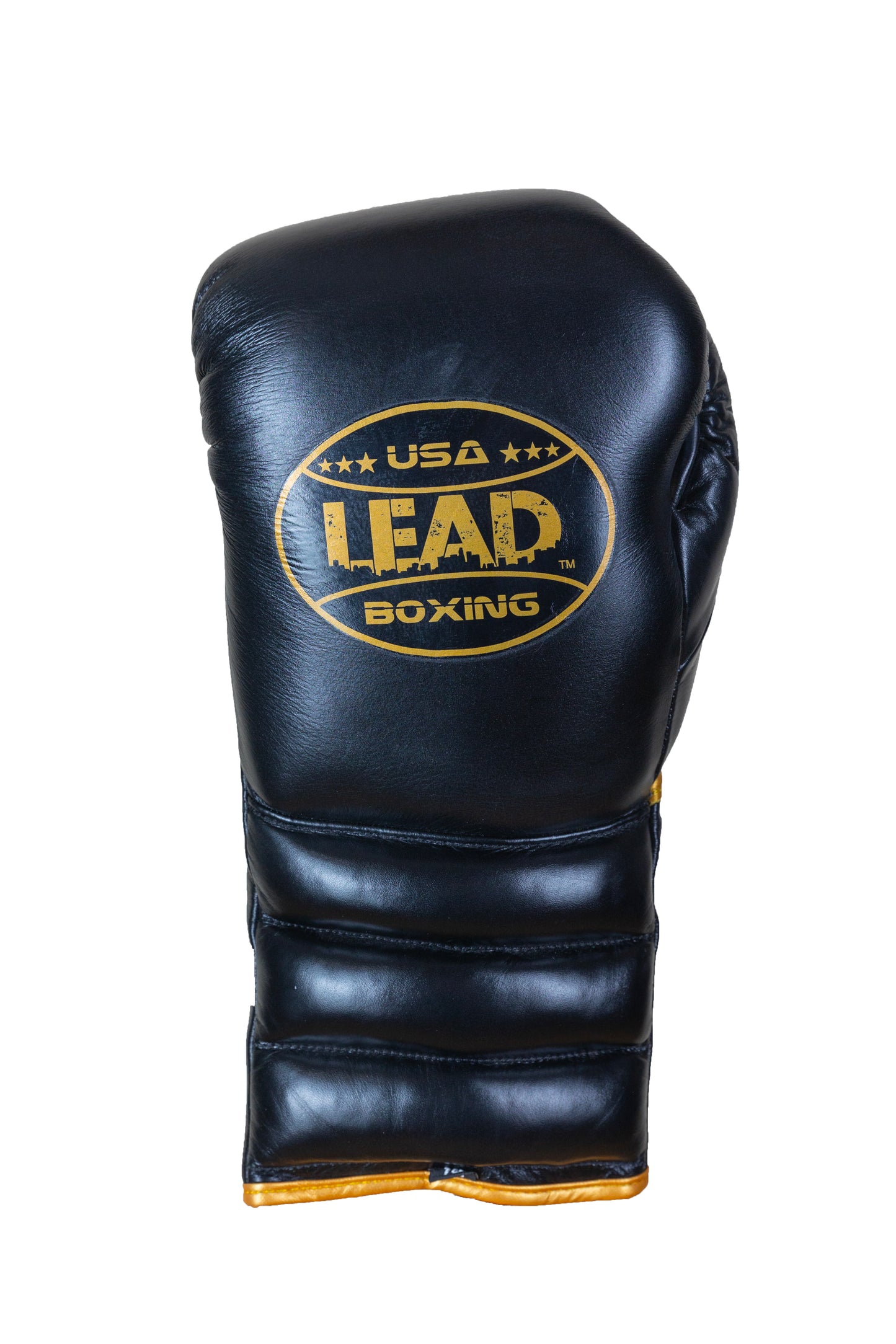 LEAD SPARRING Gloves   (Black - Gold  Logo )
