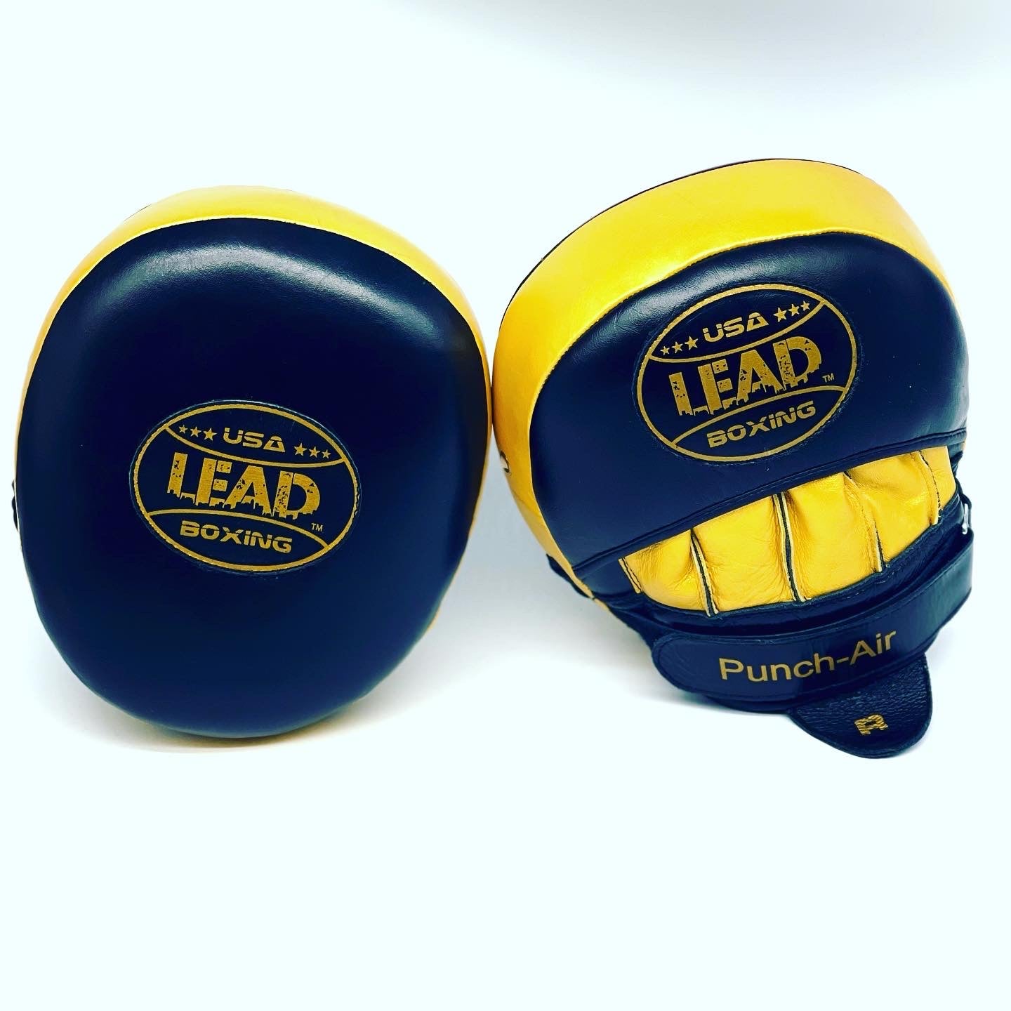 LEAD Punch-AIR Focus Mitts ( Black / Gold)